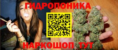 прущие грибы Волгодонск