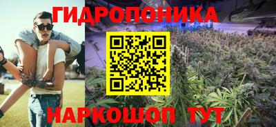 гидропоника Гагарин
